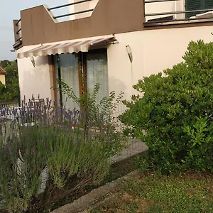 Lavinia Apartamento Zadar
